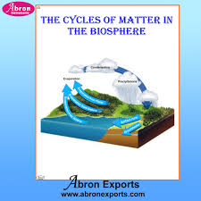 chart cycles of matter in the biosphere chart cycles of