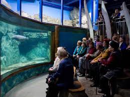 Petersburg commonly searched for in st. Oceanarium Of St Petersburg Official Site Photo Address