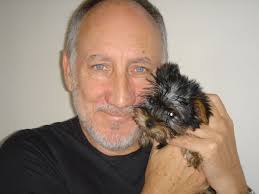 Official Blog From Critically Acclaimed Author and Musician Lee (Mirabai)  Harrington: An Interview with Rachel Fuller–Pack Leader of Seven Dogs and  One Rock God