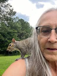 Time lapse of my snaiby (snail baby) eating a treat of lettuce and cucumber  🐌 her name is Mary Shelley