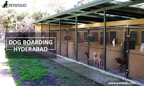 To help your wavering mind, we have rounded up ten best schools boarding schools in hyderabad. Dog Boarding In Hyderabad