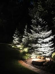 Work Portfolio Landmark Landscape Lighting Outdoor Landscape Lighting Outdoor Tree Lighting Evergreen Landscape