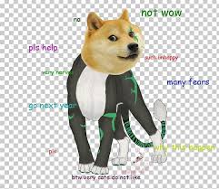 Dogecoin coin mining doge mascot mine accepting steam start cryptocurrency dogeminer valve crypto meme dog corporation official ceo gabe newell. Shiba Inu Dog Breed Jamaica National Bobsled Team Non Sporting Group Dogecoin Png Clipart Bobsleigh Breed