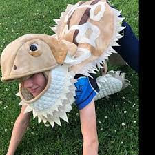Diy Bearded Dragon Costume Pdf Printable Sewing Pattern And Tutorial Booklet Bearded Dragon Costume Bearded Dragon Diy Dragon Costume