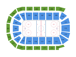 Toledo Walleye Tickets At Huntington Center On January 25 2020 At 7 15 Pm