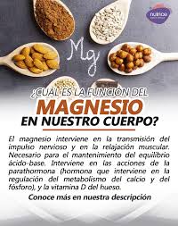 Sabes cuál es la función del MAGNESIO en nuestro cuerpo? El magnesio Interviene en la transmisión del impulso nervioso y en la relajación muscular. Necesario para el mantenimiento del equilibrio ácido-base. Interviene