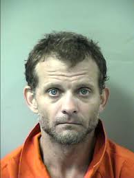 Holt man accused of domestic violence, other charges: OCSO