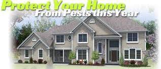Whether it's termites, ants, cockroaches, crickets before we can choose the best treatment plan for your home, we send one of our technicians to your property to conduct a thorough inspection. Pest Control Service Houston Tx Area Exterminator Services Houston