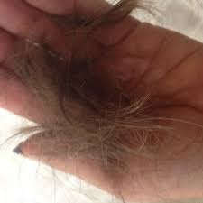 Home atelier salon corpus christi beauty salon hair. Dillard S Hair And Nail Salon Salon Barbershop