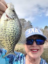 What are the ice conditions