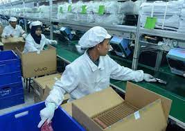 Maybe you would like to learn more about one of these? Gaji Karyawan Di Pt Torabika Lowongan Kerja Pt Tirta Fresindo Jaya Mayora Group Info Loker Update