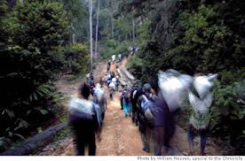 ON THE RUN IN ACEH  With the guerrillas in Indonesias westernmost province