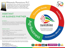 Assistant Hr Business Partner Accounting Jobs Executive Jobs Assistant Jobs