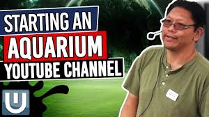 Starting A Aquarium Youtube Channel Live Scape Presentation Youtube