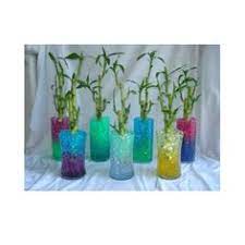 Maybe you would like to learn more about one of these? Lucky Bamboo Loves The Deco Beads Since All They Need Is Water Lucky Bamboo Deco Beads Water Plants