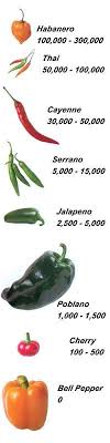 All About Chile Peppers