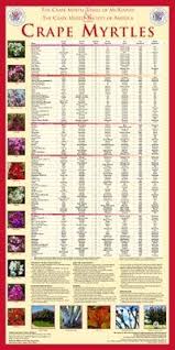 592 Best Trees And Shrubs Images In 2019 Shrubs Trees