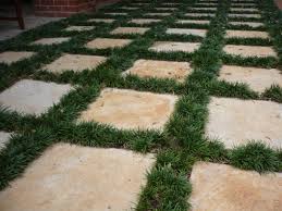 Ground Cover Plants Between Pavers Mondo Grass Dwarf Mondo Grass Grass Pavers