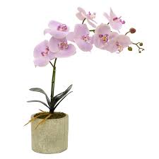 Pink Faux Orchid Arrangement In Flower Pot Rc Willey Furniture Store Flower Pots Orchid Arrangements Orchid Flower