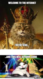 Image result for welcome to the internet meme