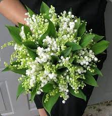 Check spelling or type a new query. Green White Wedding Bouquet Featuring Lily Of The Valley Lily Of The Valley Bouquet Flower Bouquet Wedding White Wedding Bouquets