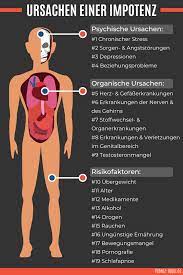 19 Ursachen von Erektionsstörungen | Bildlich erklärt [2023] — Potenz-Tipps  – Für Männer