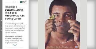 Float like a butterfly…Sting like a bee: Muhammad Ali's Boxing Career