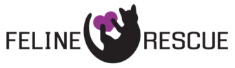 I was very pleased with the friendly, helpful, caring, and intelligent staff. Feline Rescue Inc Feline Rescue Inc Is A Minnesota Based No Kill Companion Cat Rescue Organization