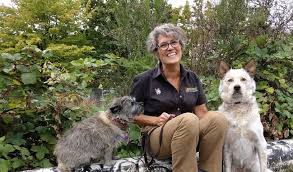 This can often make the puppy try to eliminate in hidden areas around the home away from your presence.3 x trustworthy source the. Home Dog Training Seattle North By Bark Busters Dog Training Seattle Northdog Training Seattle North