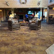 Image result for Elymandra grallata