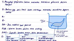 Pergerakan bahan merentas membran plasma. Eksperimen 3 1 Mengkaji Pergerakan Bahan Merentas Membran Plasma Secara Resapan Youtube