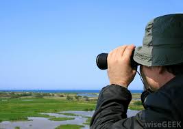 Maybe you would like to learn more about one of these? What Are Bird Watching Binoculars With Pictures