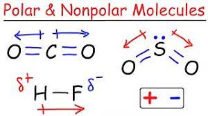 Polar And Nonpolar Molecules Youtube