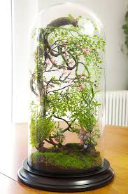Forest Terrarium Van Kunstplanten Kabinet Van Nieuwsgierigheid Dome Bell Glas Verjaardag Cadeau Bruiloft Tuin Decoratie Beautiful Terrariums Terrarium Artificial Plants