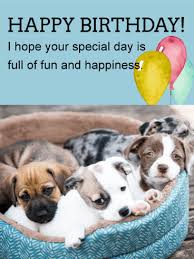 Cute Puppies Animal Birthday Card Birthday Greeting Cards By Davia You are more than all the puppies in the world. cute puppies animal birthday card