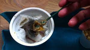 Watch carefully to see babies of all. Feeding Baby Mockingbird Youtube