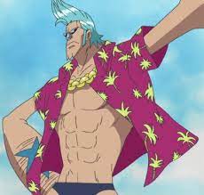Cyborg Franky One Piece I Wanna Be The Pirate King