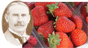 Timespanner: August 2020