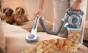 Kedi köpek tüyü halıdan nasıl temizlenir? Kedi Tuyu Icin Sarjli El Supurgesi Black And Decker Suzionline