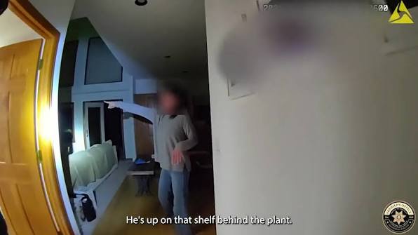 Deputies try laser pointer on bobcat in Colorado home: 