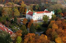 Podobny obraz