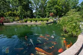 Wilmington is a city that's brimming with activity. Activities For Kids In Wilmington Nc Wilmington Nc Com