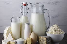 برای سلامت استخوان‌هایتان لبنیات بخورید