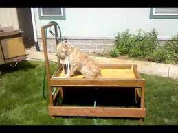 Dog Wash Station 1 First Use Youtube Dog Washing Station Diy Dog Wash Diy Dog Stuff