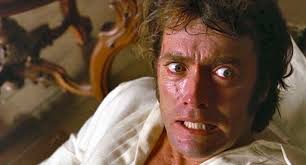 The View from the Trailer Park