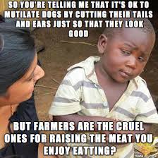Animal Cruelty Meme On Imgur
