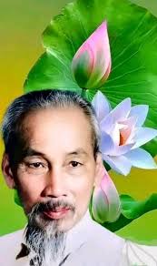 🌻🌻🌻NHỚ HOA SEN TRƯỚC THỀM XUÂN MỚI.❤️❤️❤️ Hoa sen