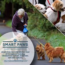Dog Walkers Chicago Dog Walker Service Animal Chicago