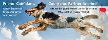 Maybe you would like to learn more about one of these? All Pets Medical Center Llc 16 Waterhouse Road Buzzards Bay Reviews And Appointments Topvet