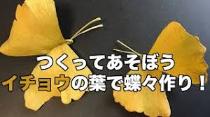 つくってあそぼう イチョウの葉で蝶々作り Youtube
